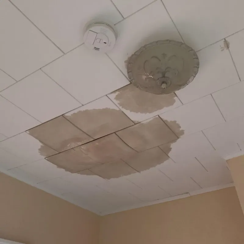 Ceiling Water Damage Repair in Charlottesville, VA