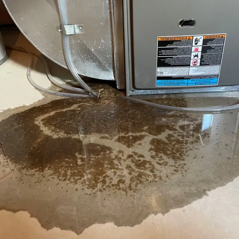 Pipe Burst and Leak Restoration in Charlottesville, VA