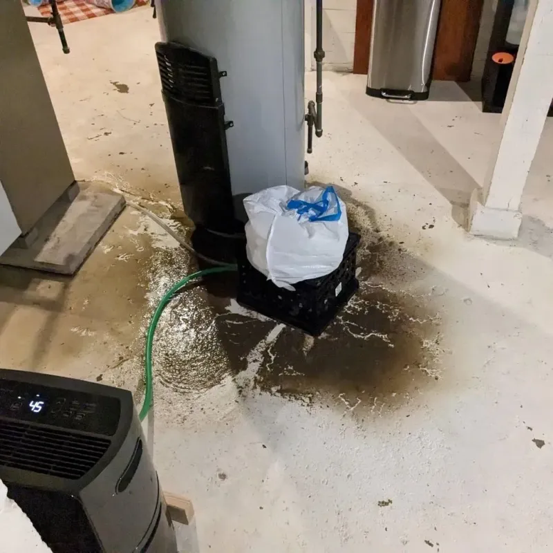 Sewage Backup Cleanup Service in Charlottesville, VA